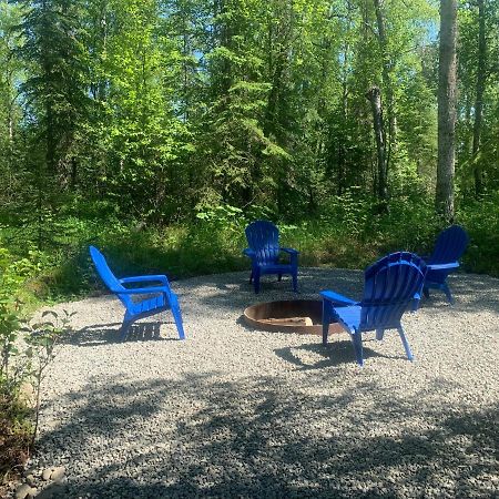 Vila Peaceful Talkeetna Getaway #3 Exteriér fotografie